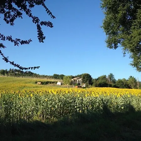 Rural Holiday Home In Montecarotto With Swimming Pool * Montecarotto